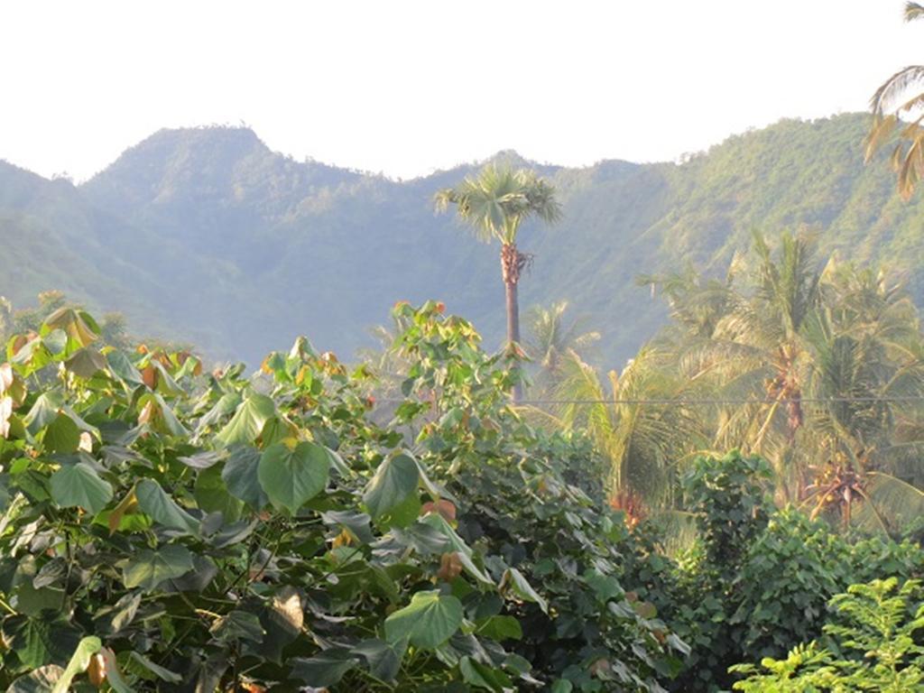 Bali Sari Homestay Amed Exterior foto